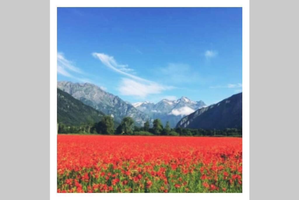 דירות Le Bourg-dʼOisans L'Edelweis מראה חיצוני תמונה